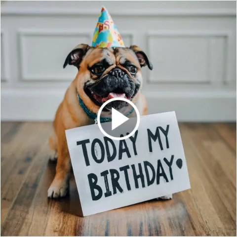 A Birthday Wish: Celebrating My 17th Year with Joy and Gratitude
